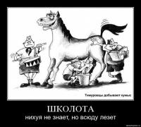 post-4386-0-85862800-1399916517_thumb.jpeg